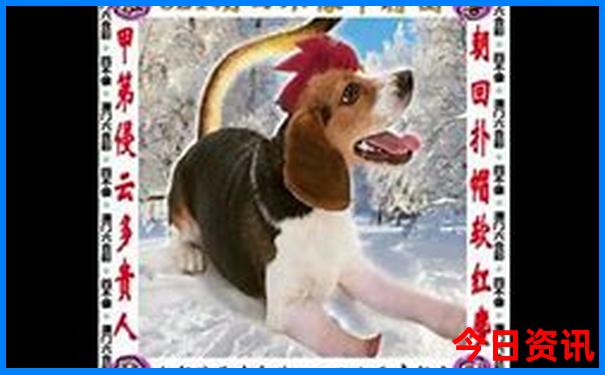 墨脱旅游攻略必去景点